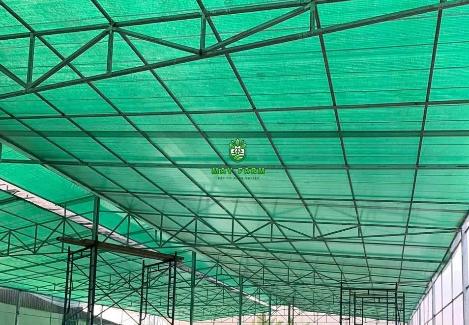 Lưới xanh thái lan - Giá lưới xanh thái lan