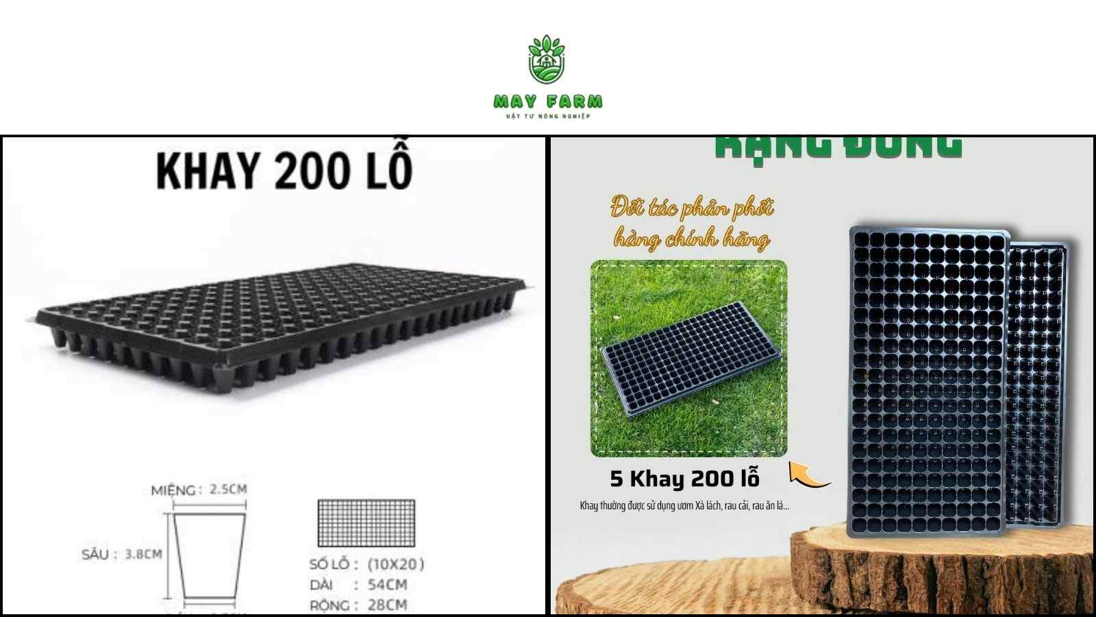 Khươm ươm cây giống 200 lỗ