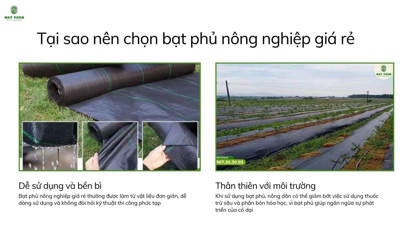 Tại sao nên chọn bạt phủ nông nghiệp giá rẻ