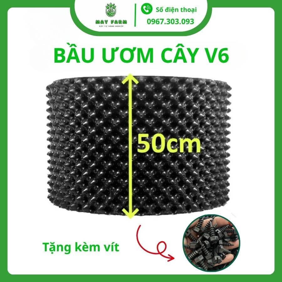 Bầu ươm V6 50cm chất lượng, giá rẻ tại May Farm