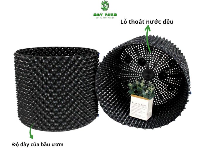 Cách chọn bầu ươm cây V6 phù hợp với mục đích sử dụng