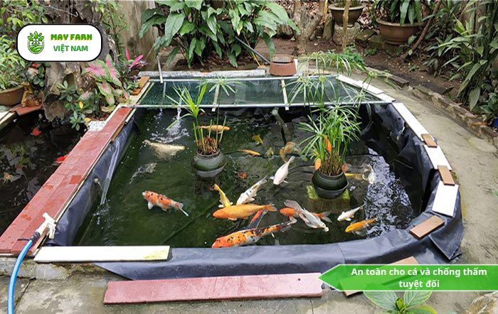Tại sao nên dùng bạt lót hồ cá Koi thay cho xi măng