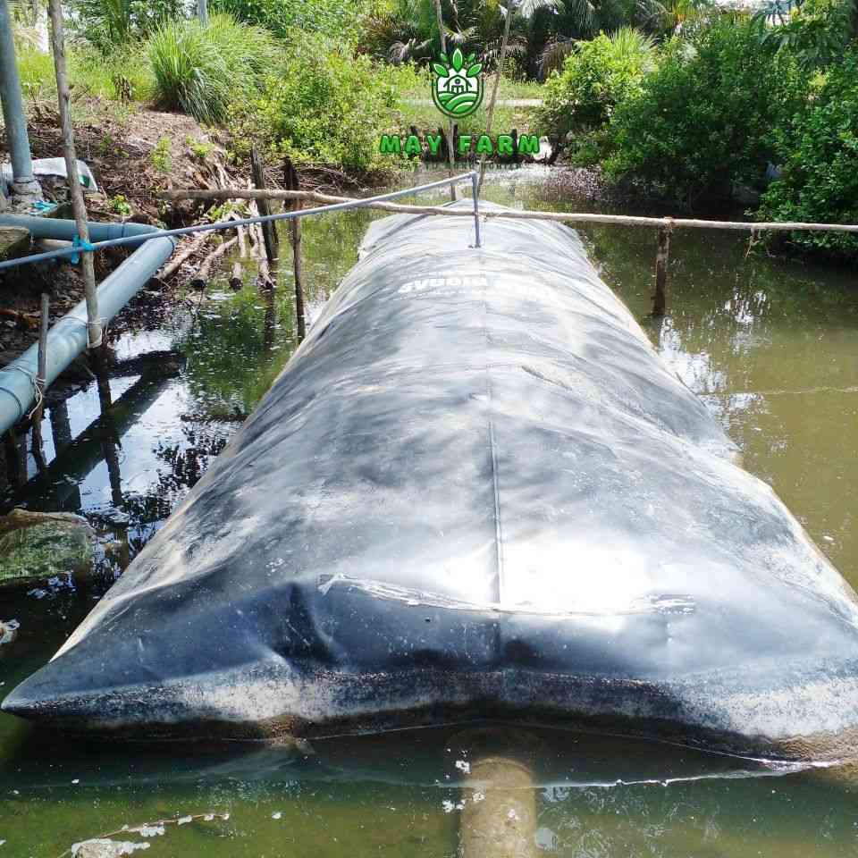 Lợi ích khi sử dụng túi dự trữ khí biogas - Xử lý chất thải