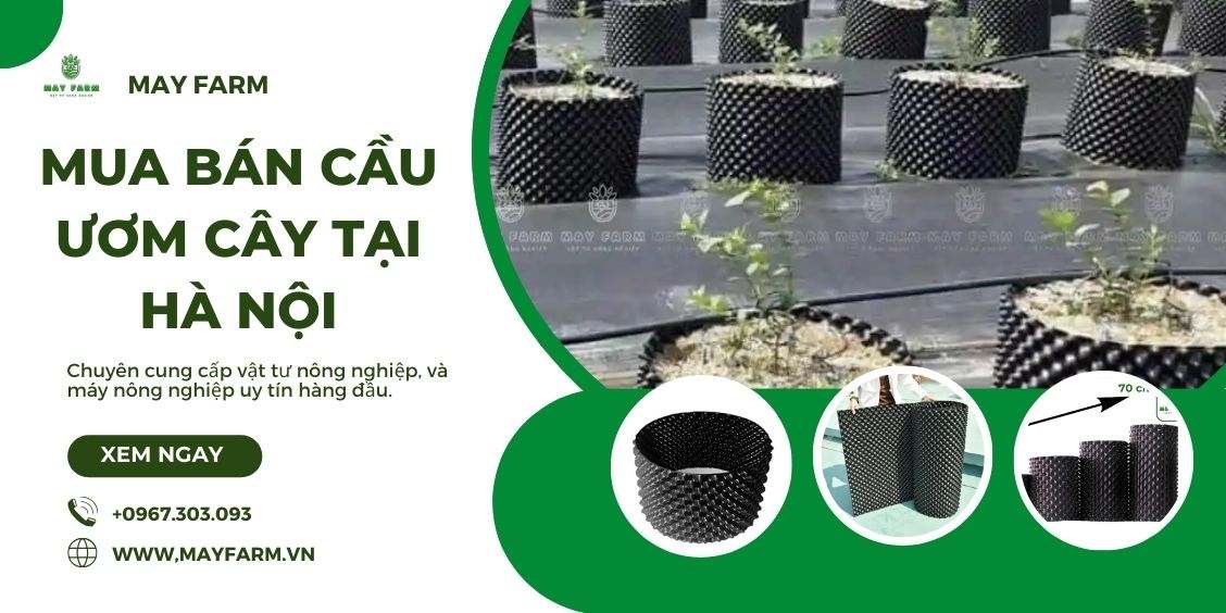  bán túi bầu ươm cây tại Hà Nội 