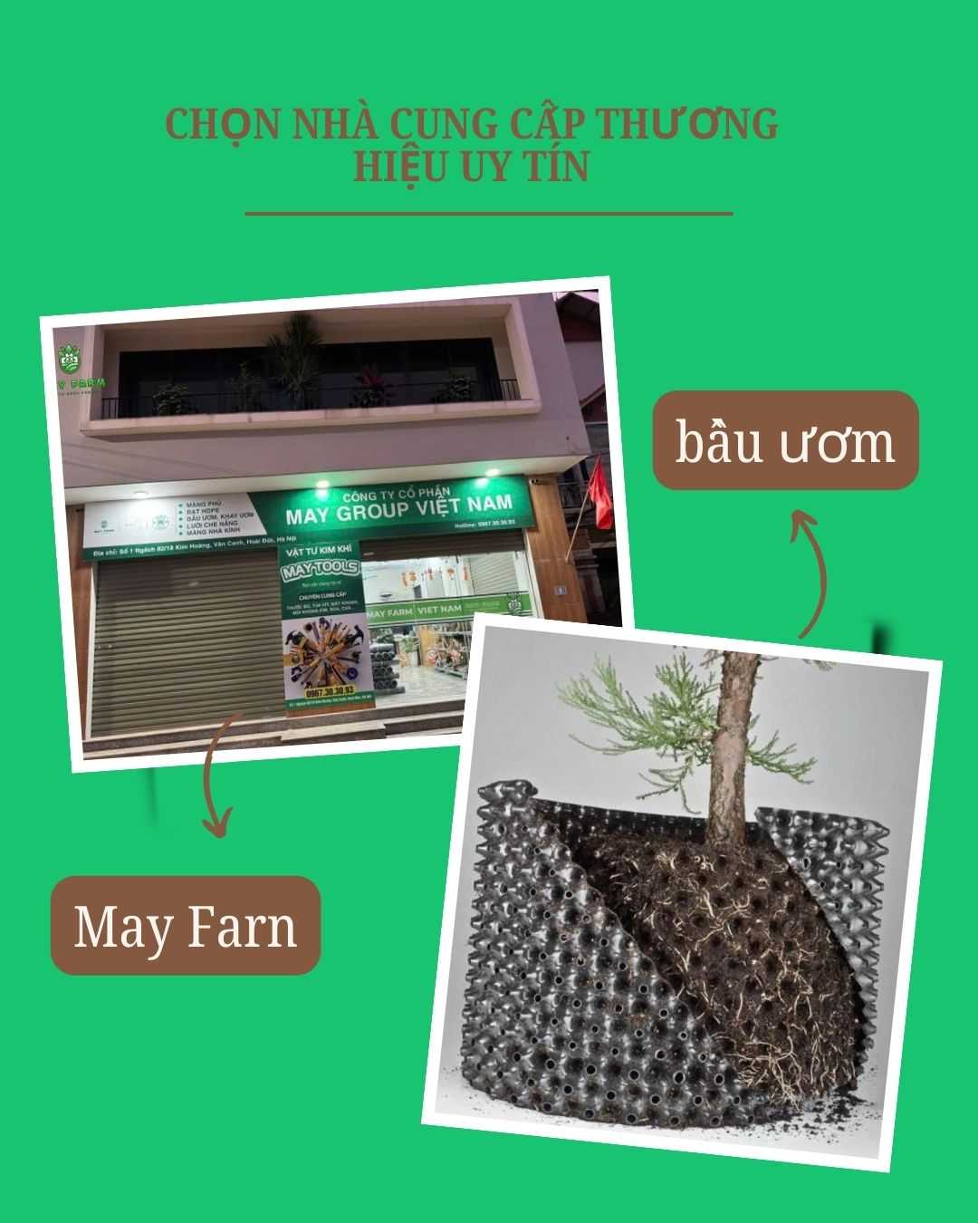 Mua bầu ươm cây cảnh ở đâu?