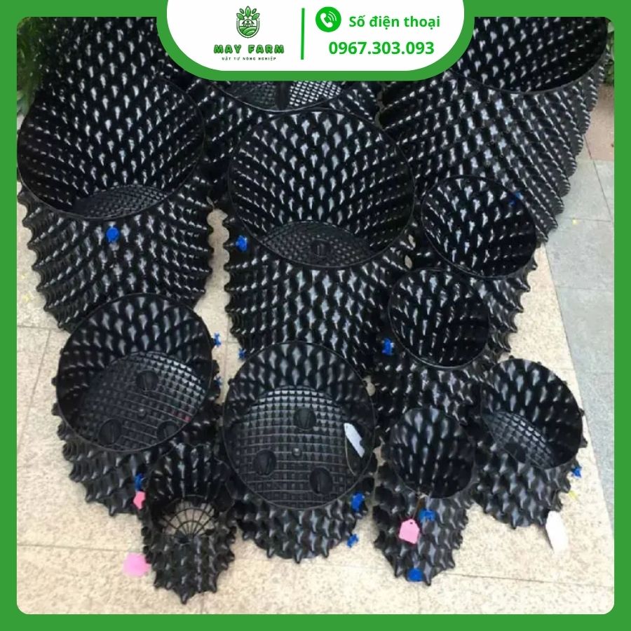 Bầu Ươm Cây Con
