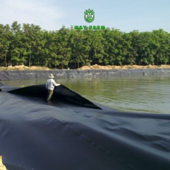 Ứng dụng của bạt HDPE 1.5 mm