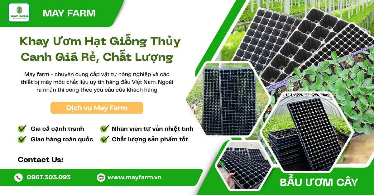 Khay Ươm Hạt Giống Thủy Canh Giá Rẻ, Chất Lượng