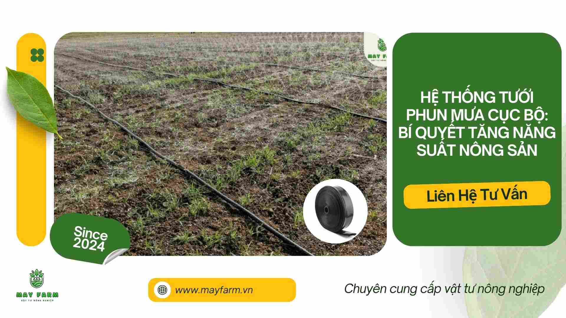Hệ thống tưới phun mưa cục bộ: Bí quyết tăng năng suất nông sản