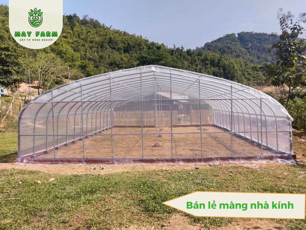 Khám phá thị trường bán lẻ màng nhà kính giải pháp cho người nông