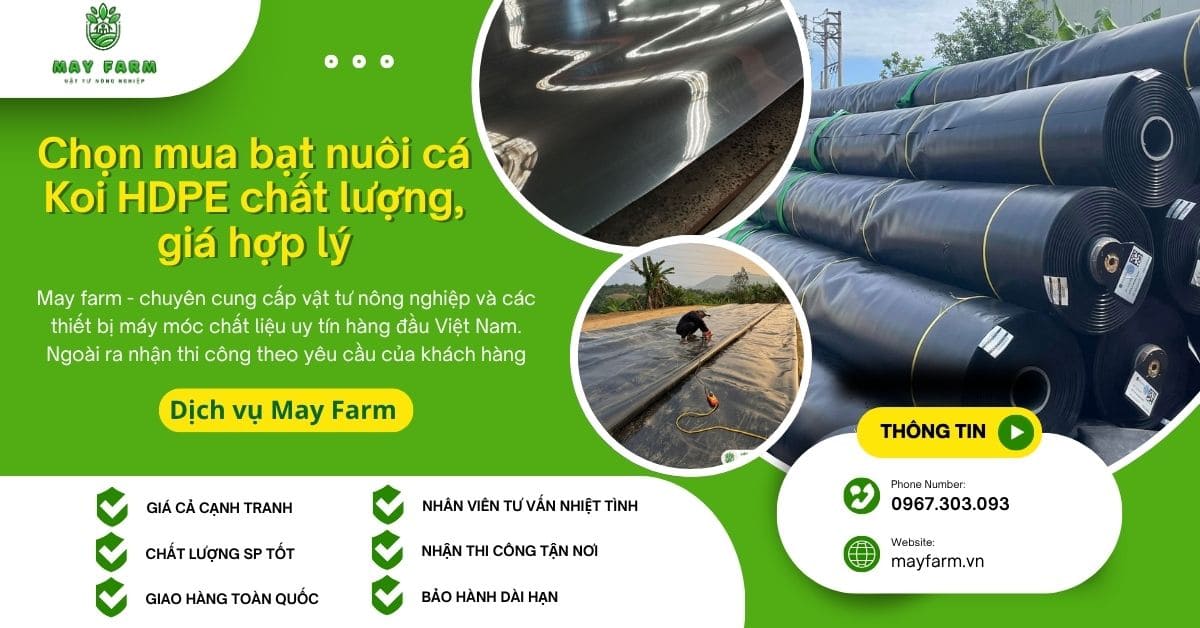 Chọn mua bạt nuôi cá Koi HDPE chất lượng, giá hợp lý