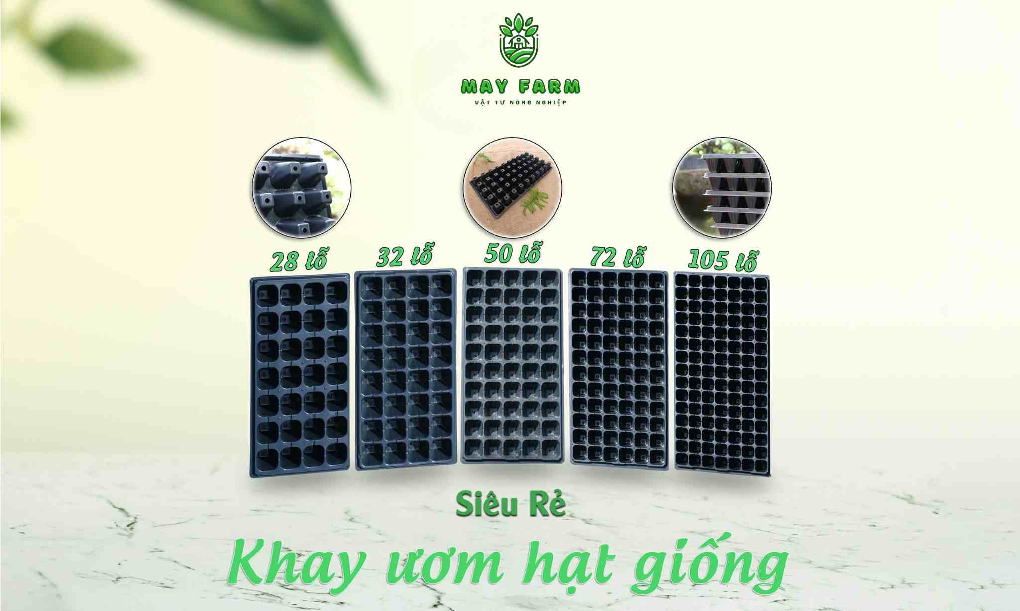 Các loại khay ươm hạt giống phổ biến