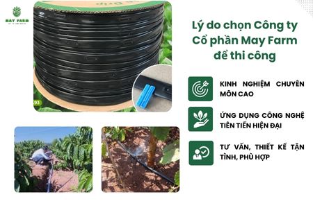 Lý do chọn Công ty Cổ phần May Farm để thi công