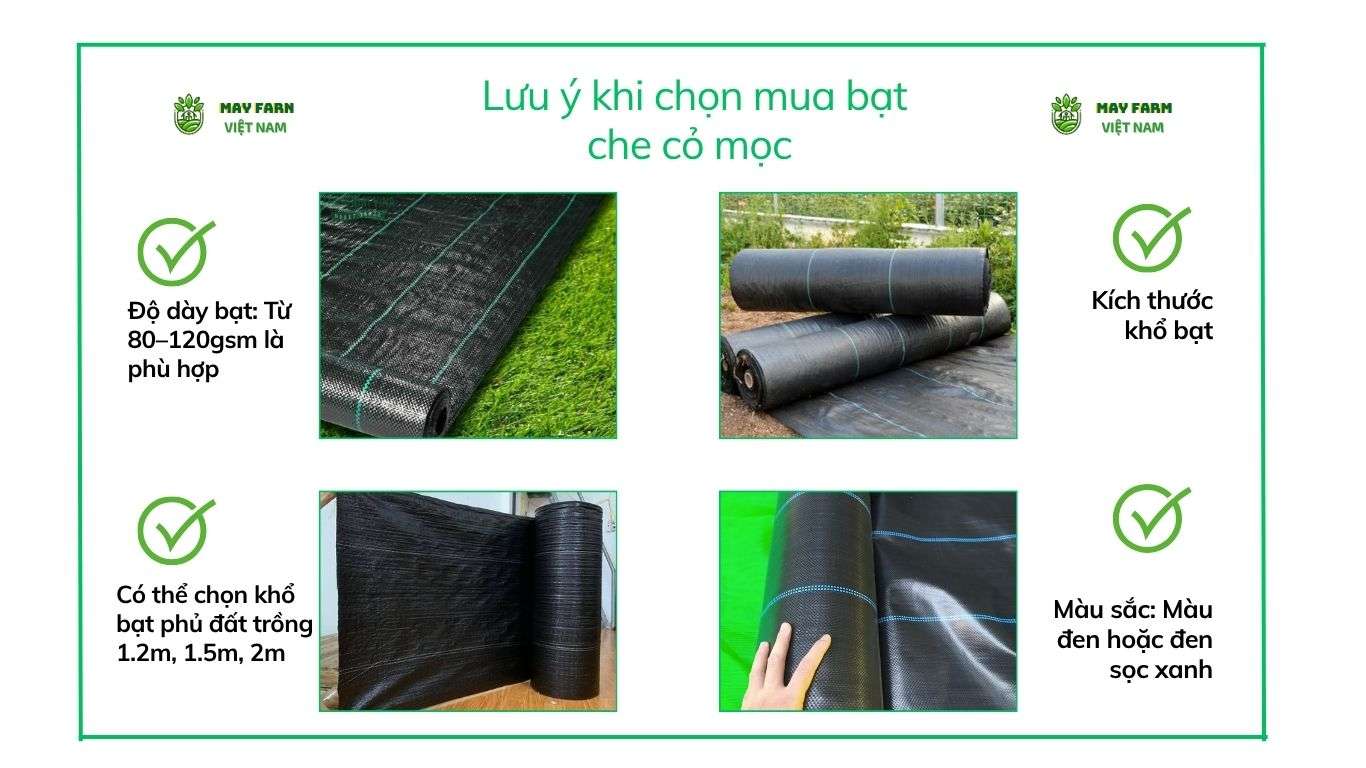  Lưu ý khi chọn mua bạt che cỏ mọc