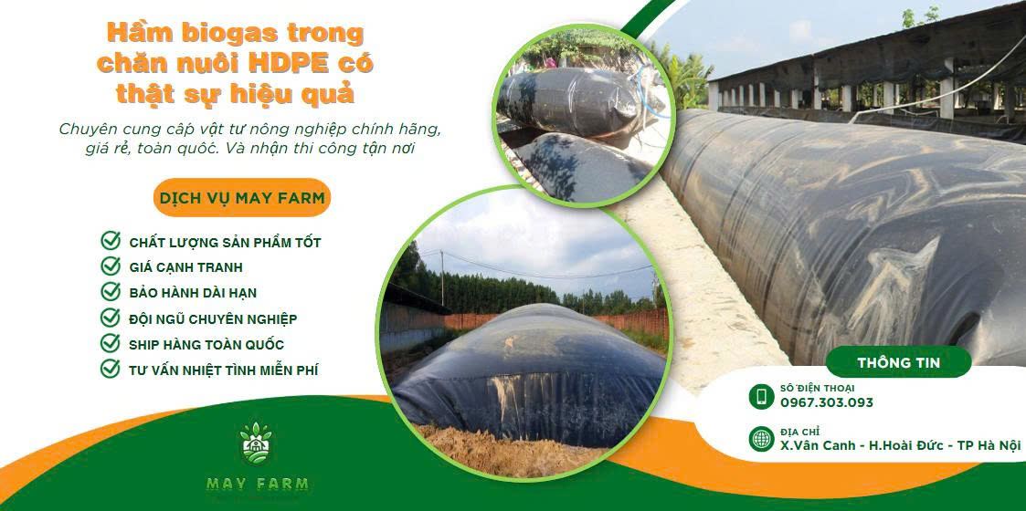 Hầm biogas trong chăn nuôi HDPE có thật sự hiệu quả