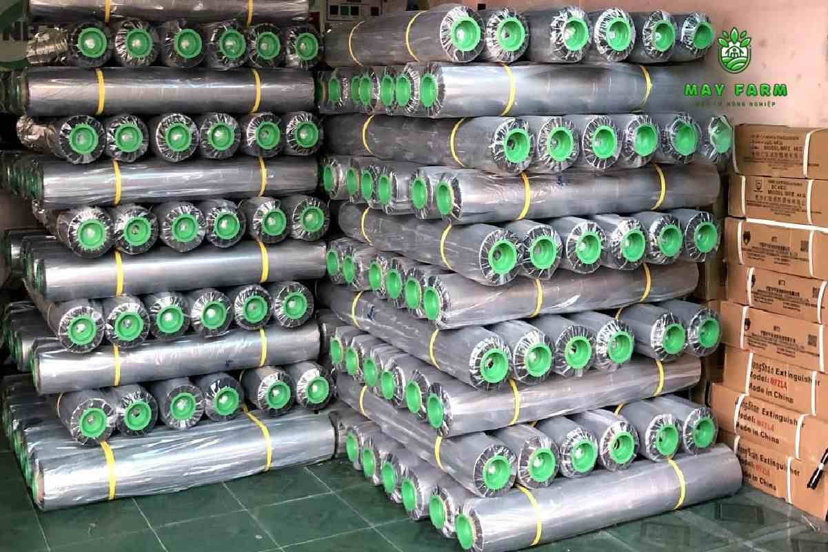 Màng phủ nông nghiệp 25 Mic