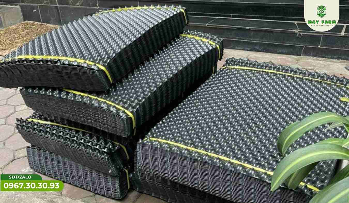  Đặc điểm và thông số kỹ thuật của bầu ươm cây V6