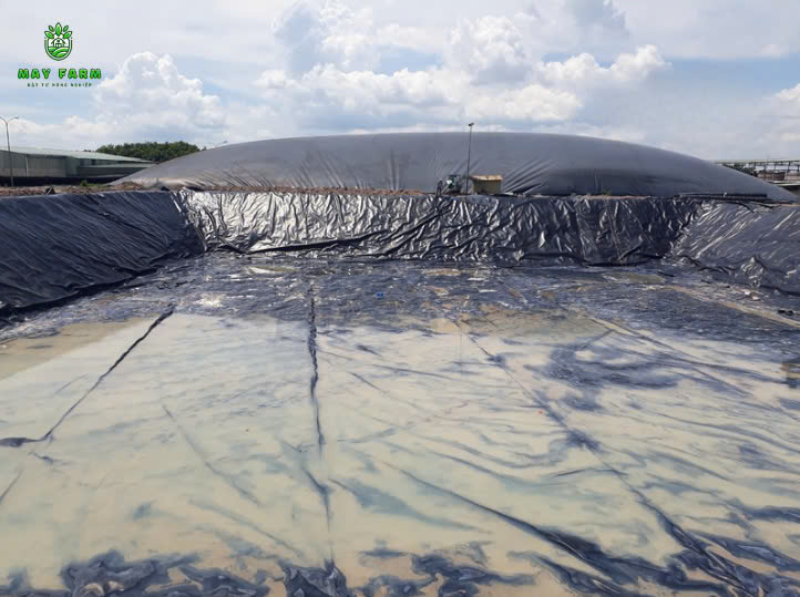 Thi công hầm biogas