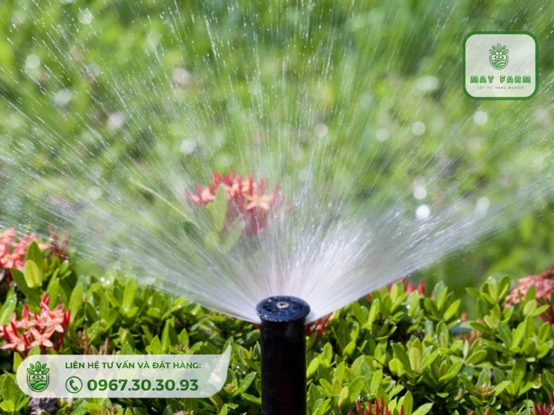 hệ thống tưới cỏ được thiết kế để cung cấp nước một cách tự động và đều đặn cho khu vực có thảm thực vật