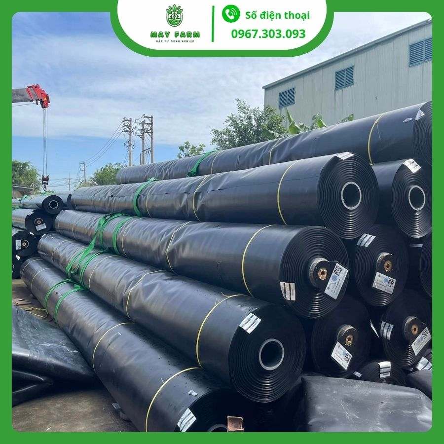 Bạt HDPE 1mm đủ kích thước, chất lượng