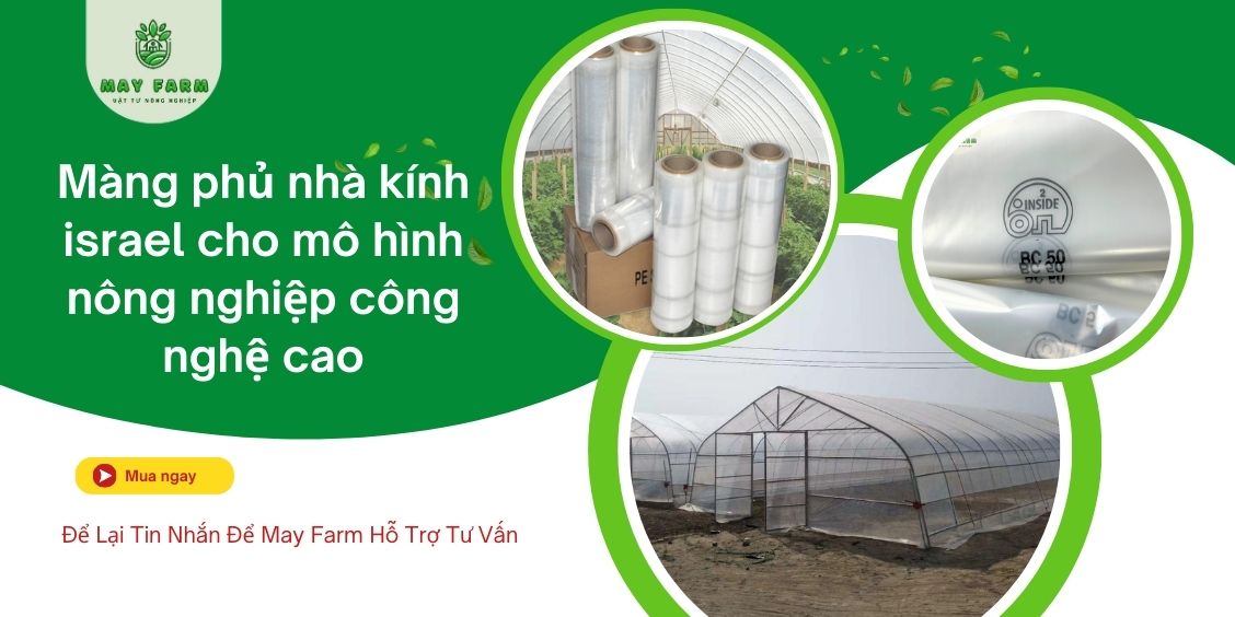 Màng phủ nhà kính Israel cho mô hình nông nghiệp công nghệ cao