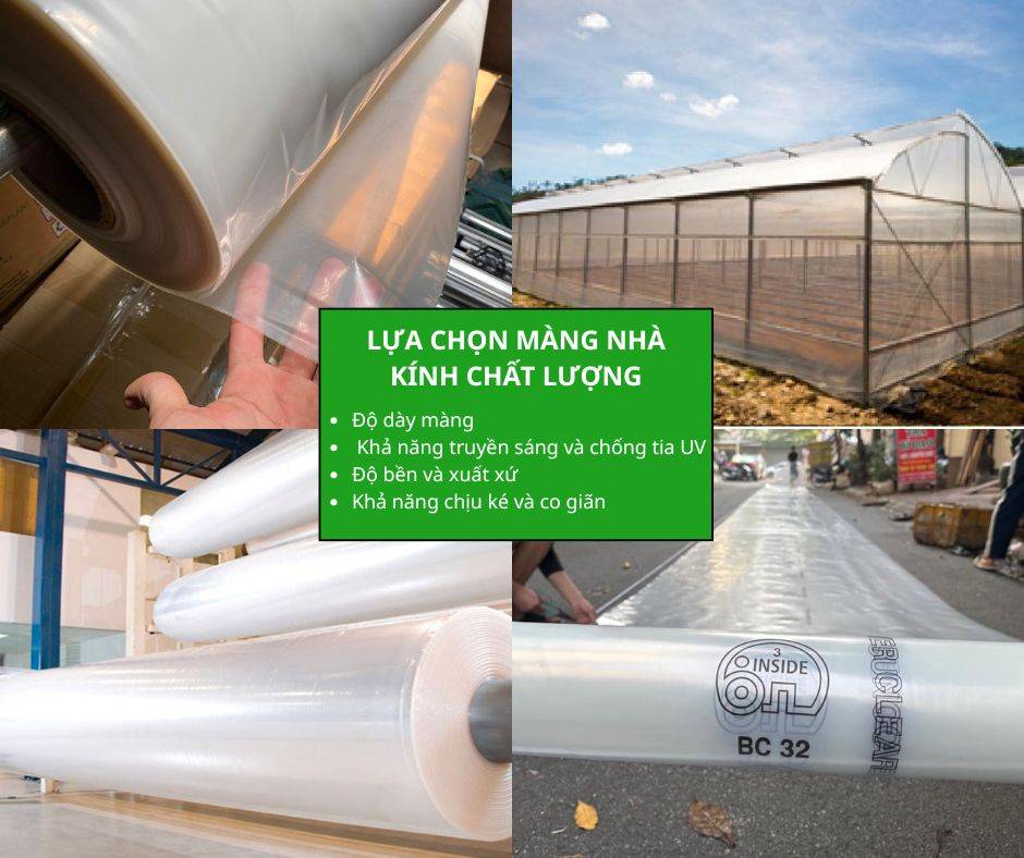 Lựa chọn màng nhà kính chất lượng - yếu tố quyết định hiệu quả
