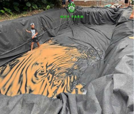 Lưu ý sử dụng bạt HDPE 1mm