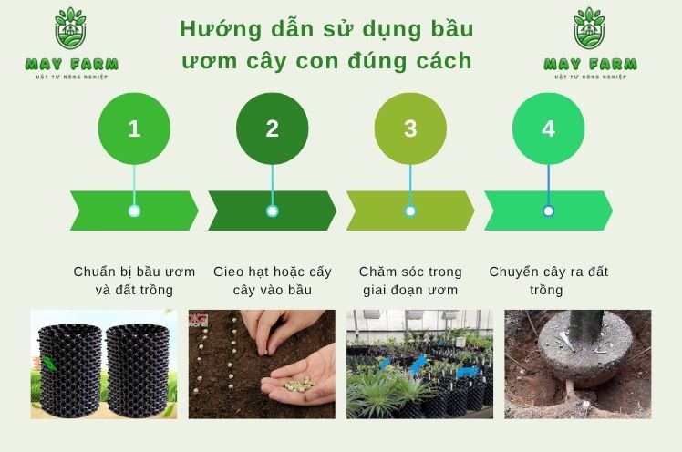 Hướng dẫn sử dụng bầu ươm cây con đúng cách