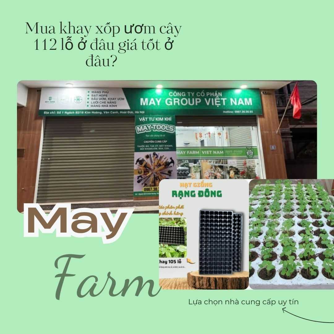 Mua khay xốp ươm cây 112 lỗ ở đâu giá tốt ở đâu? 