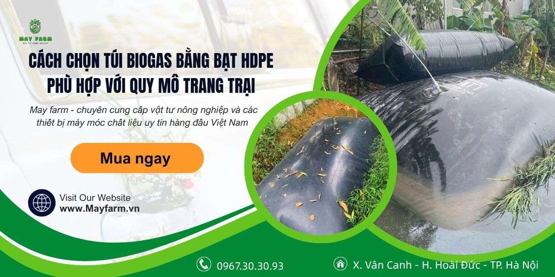 Cách chọn túi biogas bằng bạt HDPE phù hợp với quy mô trang trại