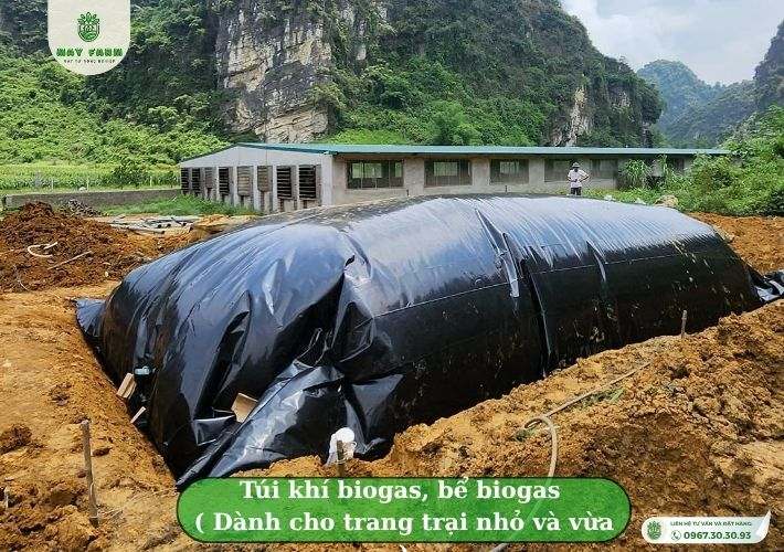 Những loại túi khí biogas, bể biogas bằng bạt HDPE phổ biến hiện nay