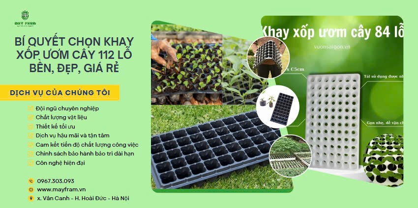 Bí quyết chọn khay xốp ươm cây 112 lỗ bền, đẹp, giá rẻ