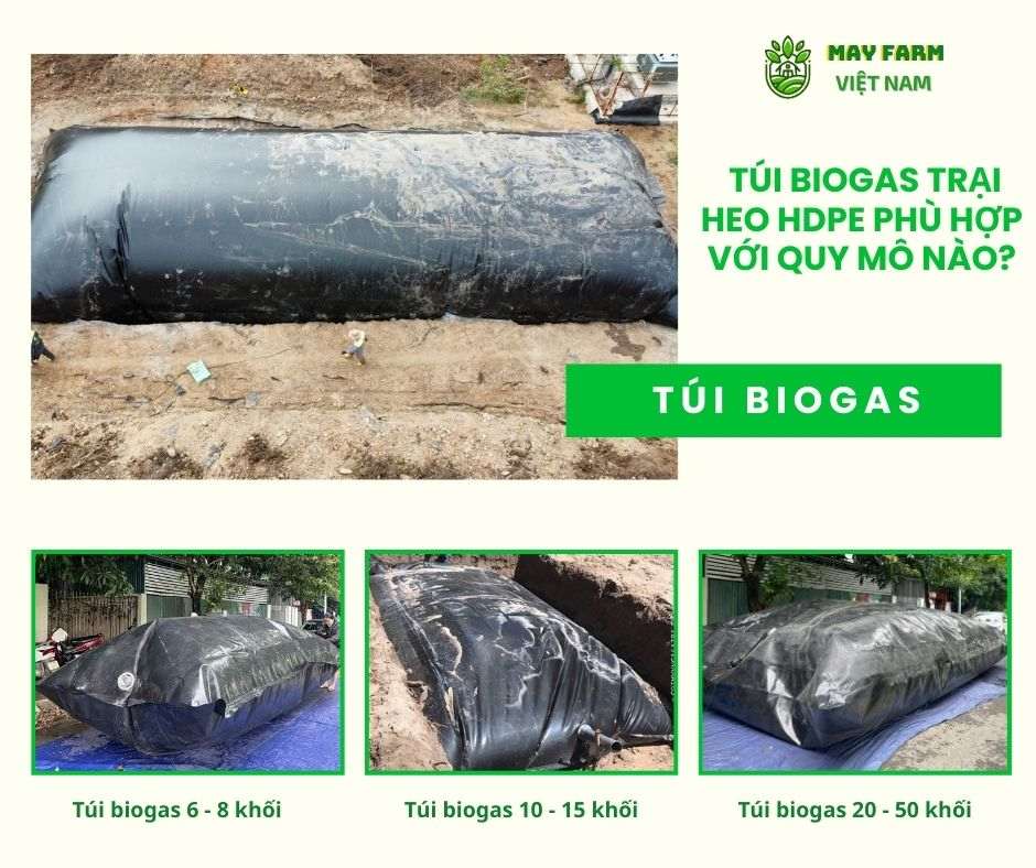  Túi biogas trại heo HDPE phù hợp với quy mô nào?