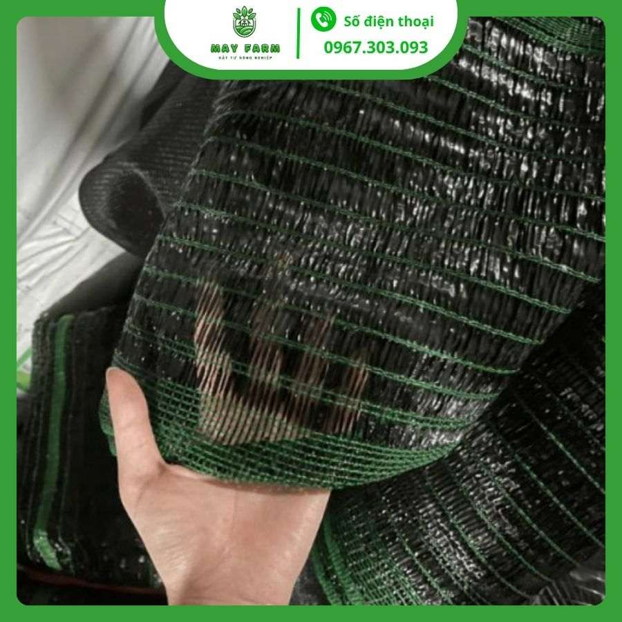 Lưới che nắng dệt phẳng Thái Lan 60% May Farm