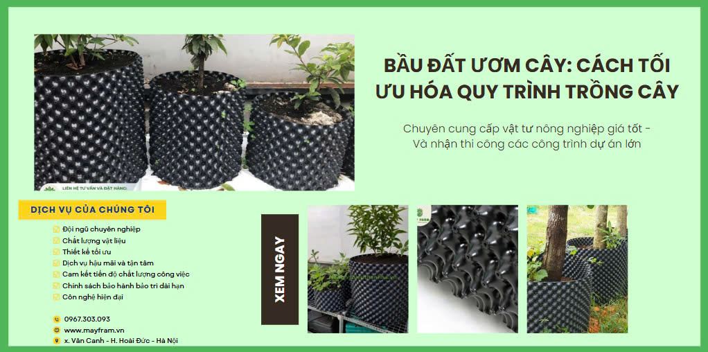 Bầu đất giáo cây Cách tối ưu hóa quy trình trồng cây