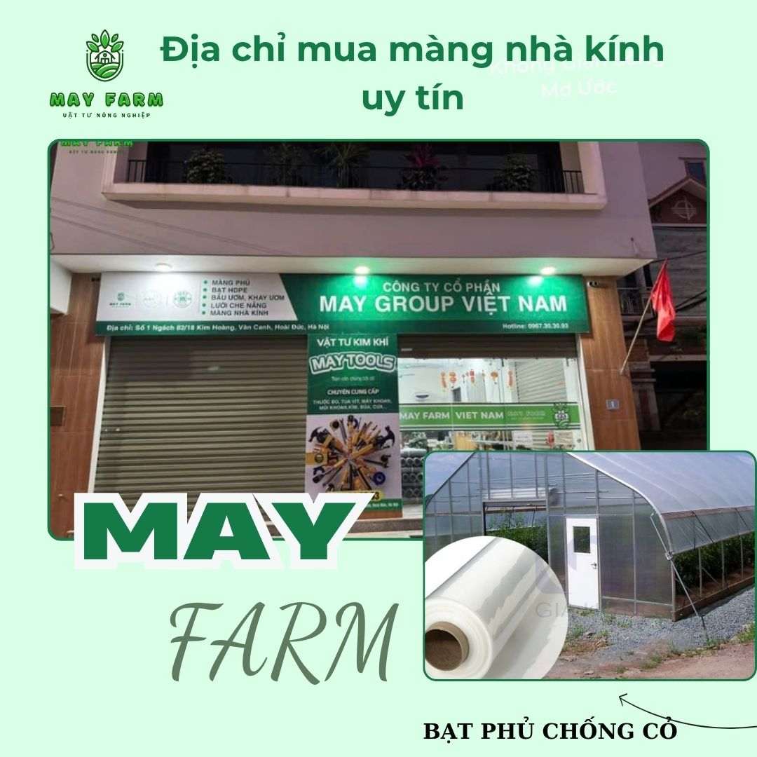 Địa chỉ mua màng nhà kính uy tín