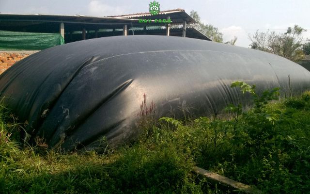 Lựa chọn vị trí đặt hầm biogas hộ gia đình hợp lý