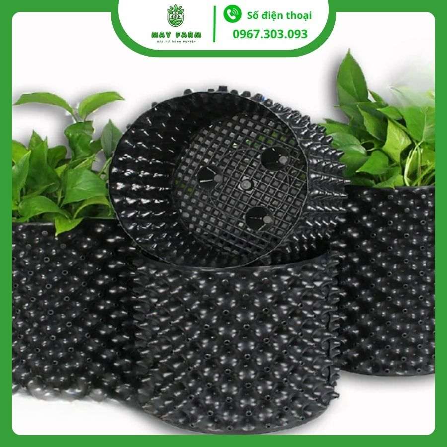 Bầu ươm cây V6 chất lượng, đủ loại ( Cuộn 50m)