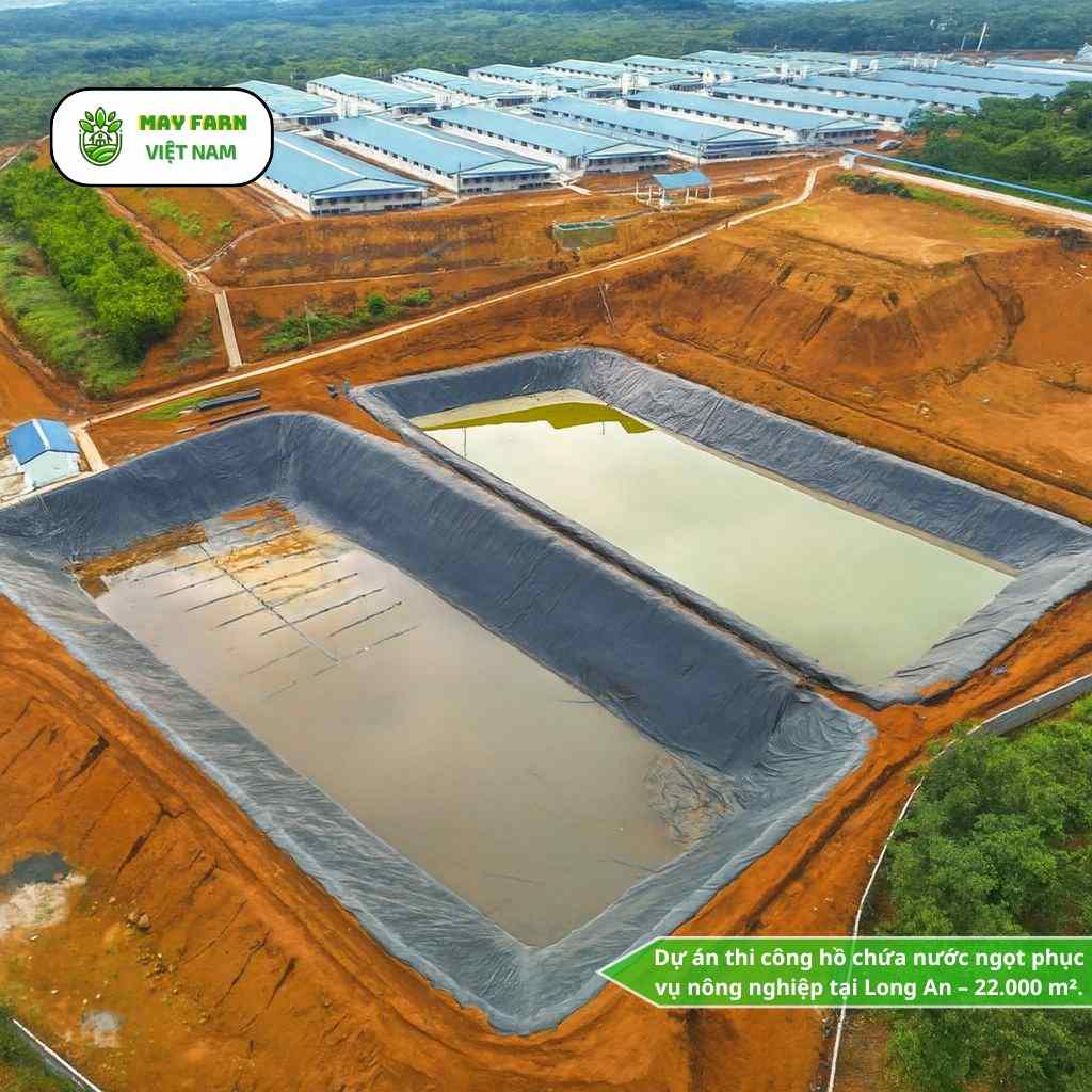 Dự án thi công hồ chứa nước ngọt phục vụ nông nghiệp tại Long An – 22.000 m².