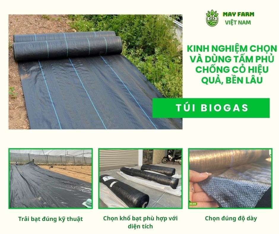 Kinh nghiệm chọn và dùng tấm phủ chống cỏ hiệu quả, bền lâu