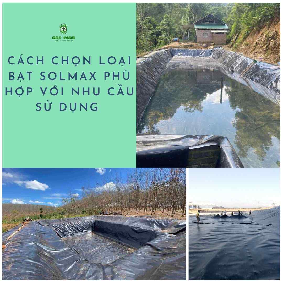 Cách chọn loại bạt Solmax phù hợp với nhu cầu sử dụng 