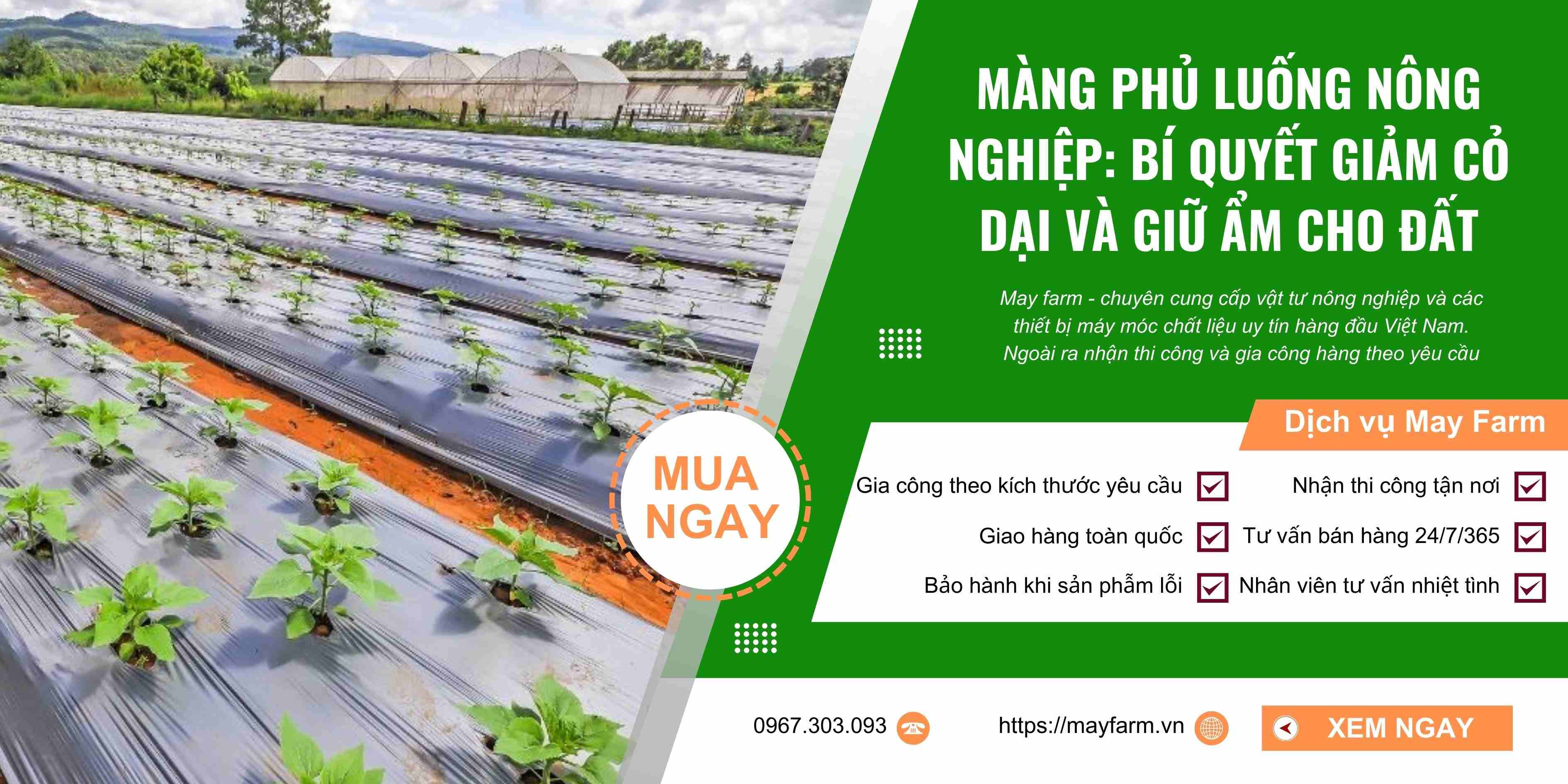 Màng Phủ Luống Nông Nghiệp: Bí Quyết Giảm Cỏ Dại Và Giữ Ẩm Cho Đất