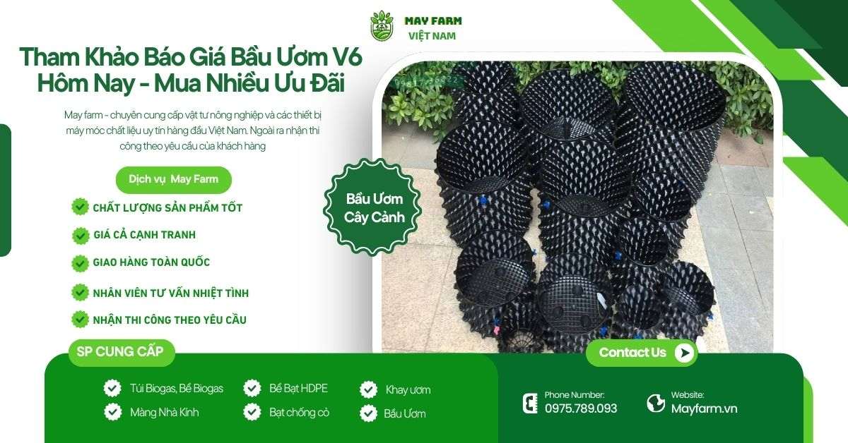 Tham Khảo Báo Giá Bầu Ươm V6 Hôm Nay - Mua Nhiều Ưu Đãi