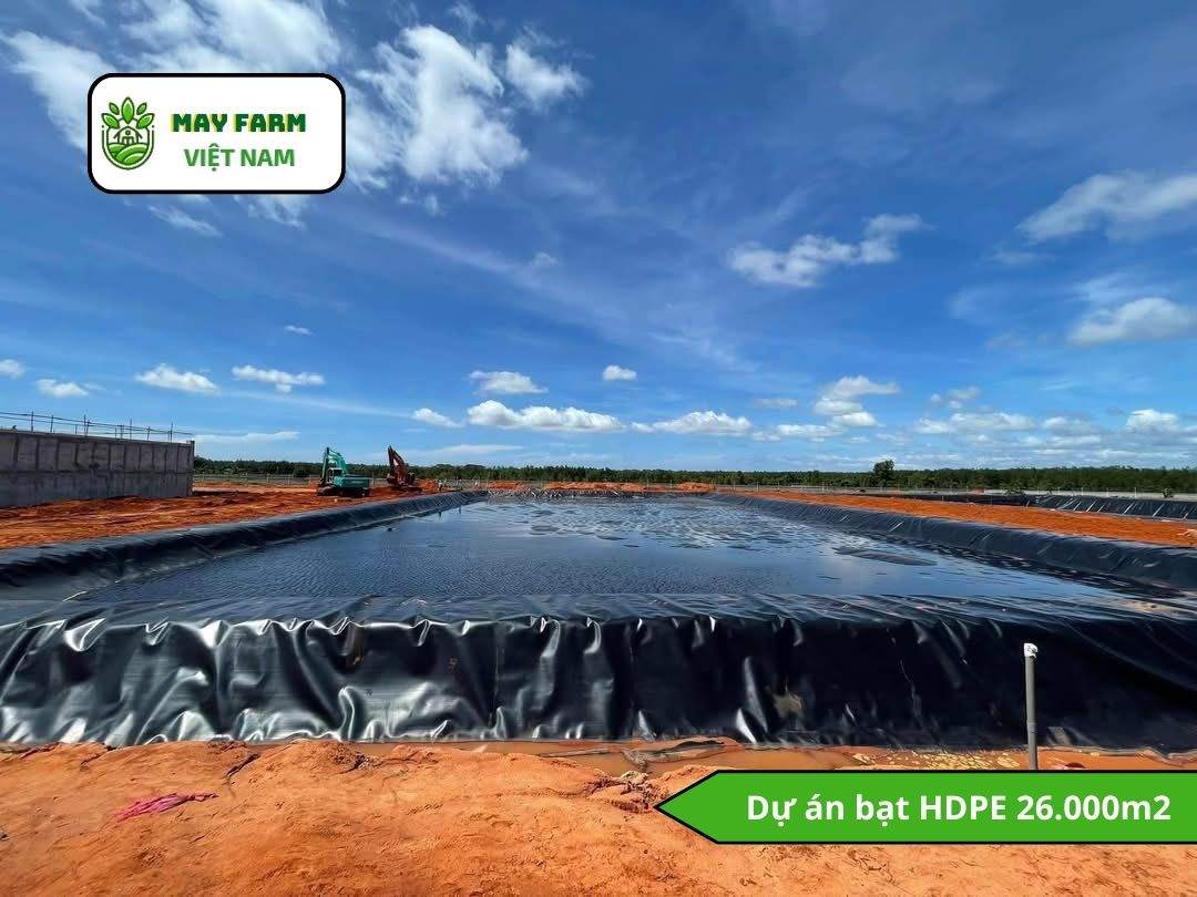 Dự án bạt HDPE 26.000m2