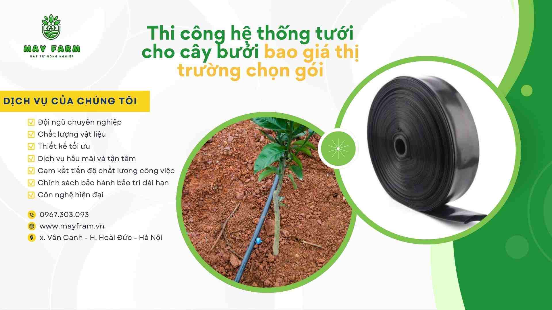 Thi công hệ thống tưới cho cây bưởi bao giá thị trường chọn gói
