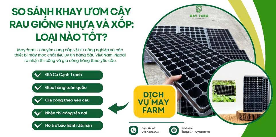 So Sánh Khay Ươm Cây Rau Giống Nhựa Và Xốp: Loại Nào Tốt?