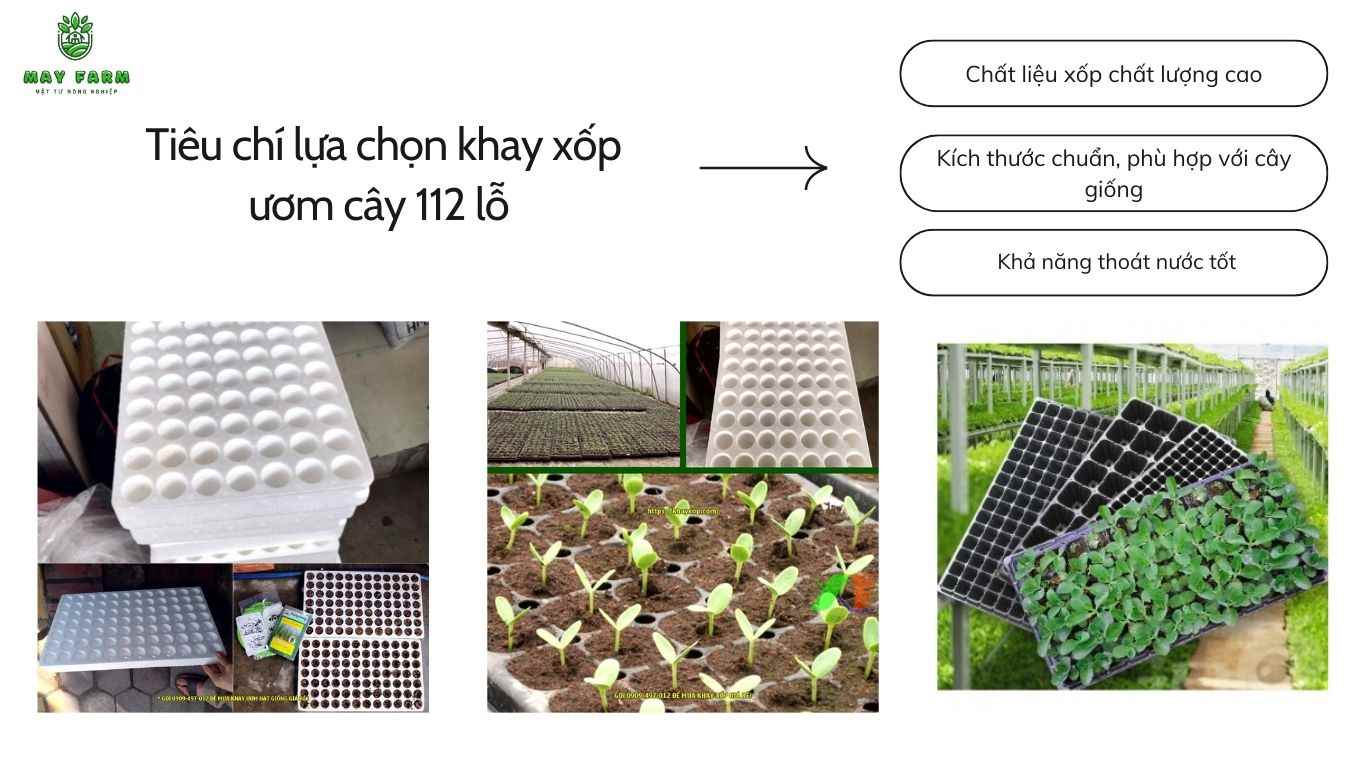  Tiêu chí lựa chọn khay xốp ươm cây 112 lỗ