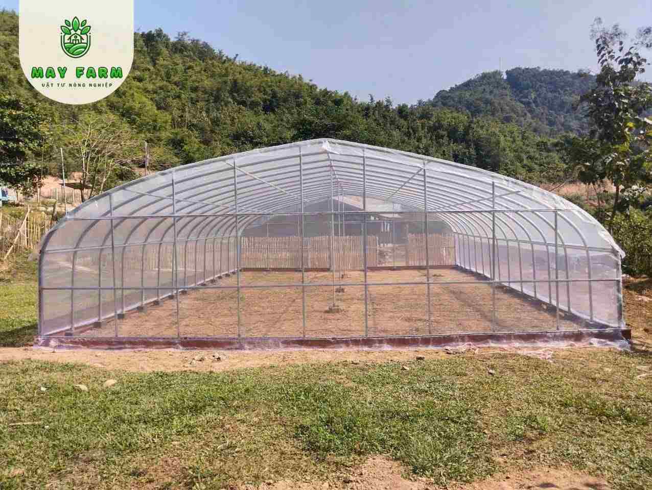 Ứng dụng màng nhà kính Profilm trồng rau màu