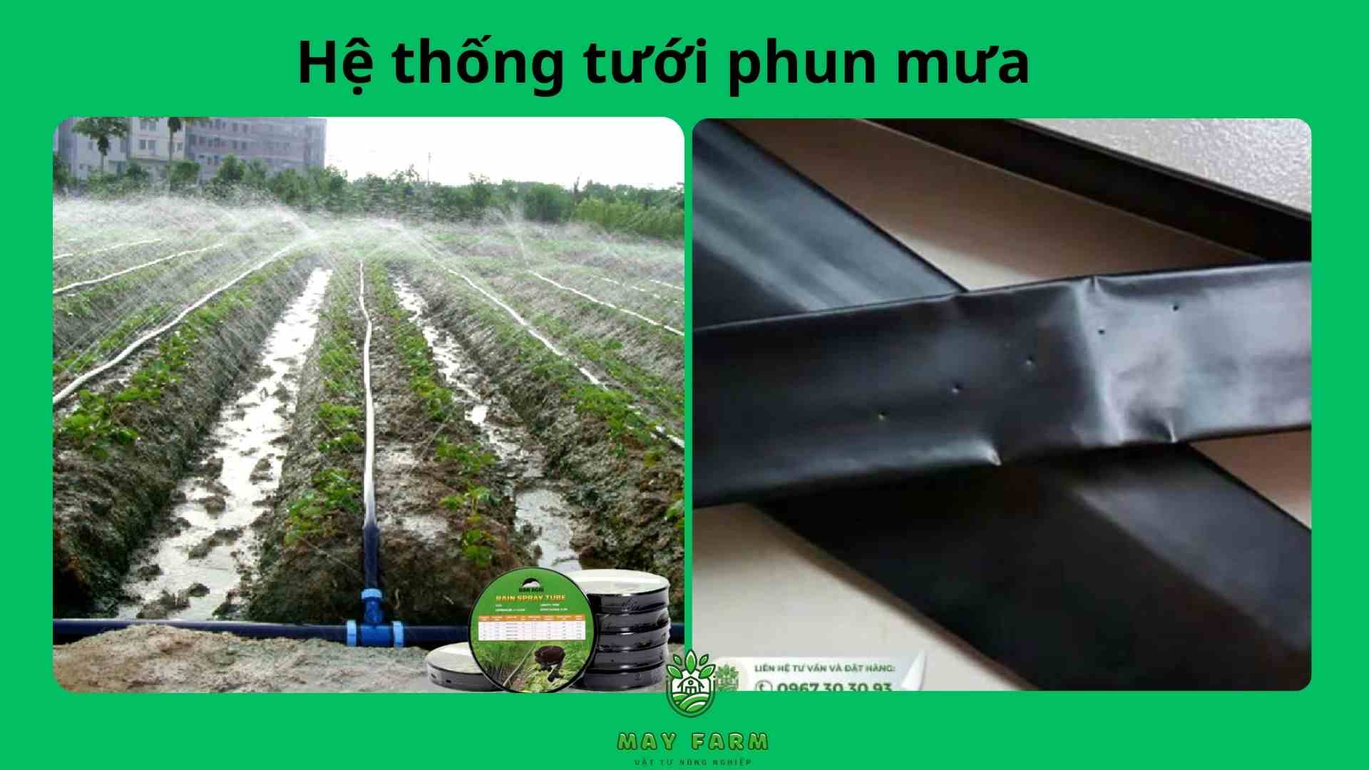 Hệ thống tưới phun mưa cho cây