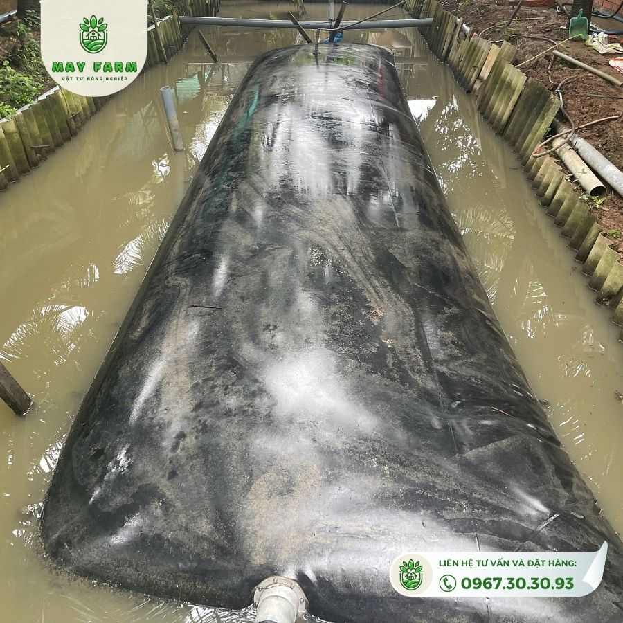 Ưu điểm vượt trội của bể biogas HDPE